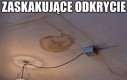 Powiedzieć szczęść boże?