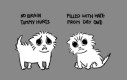 Miau