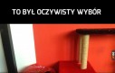 Niepotrzebnie wydałem pieniądze
