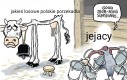 Pamiętaj chemiku młody, nigdy nie dziel przez zero ty szósta kucharko