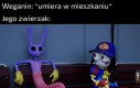 Królik bestia