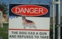 Uwaga, pies ma broń i odmawia przyjęcia leków