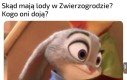 Chyba nie chcę wiedzieć