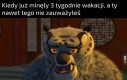 Ostatnio też pada dużo - w końcu nie jest sucho jak wiór