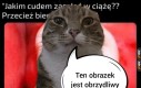 Zgadnij opa