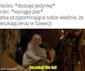 Surowe szwedzkie prawo