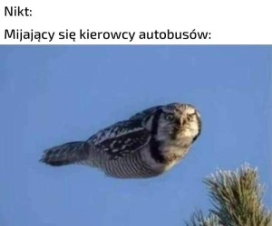 Za każdym razem