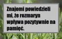 Wpływ rozmarynu na pamięć