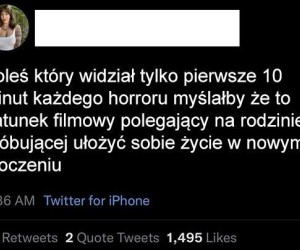 Coś w tym jest