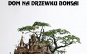 Dom na drzewku bonsai