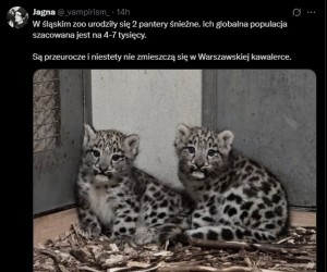 Dobre wieści