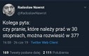 No właśnie?