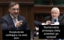 Proszę mnie puścić