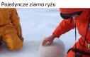 Tydzień azjatycki w Lidlu