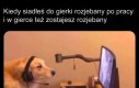 Na co ja w ogóle żyję