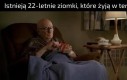Ja za rok?