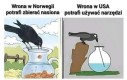 Daj zajarać bo nie wyczymie