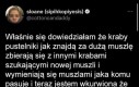 Polacy 100 lat za krabami