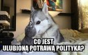 Ulubiona potrawa polityka