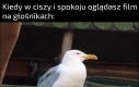 Głośniej chyba nie da rady