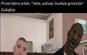Czas na kupę