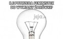 Ile potrzeba feministek do wymiany żarówki?