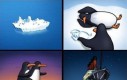 Titanic z perspektywy pingwinów