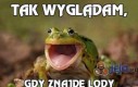 Tak wyglądam,