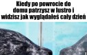 Jasny gwint...