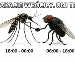 Dozgonna nienawiść
