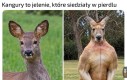Fakt naukowy