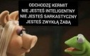 Jak śmiesz