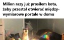 Co Wy wtedy robicie?