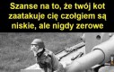 Tytuł