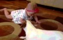 Pies uczy dziecko raczkowania