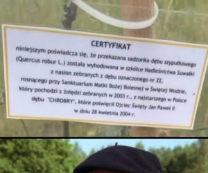 Doniosły moment