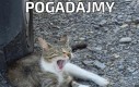 Ahoj wam 