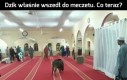 Co obstawiacie?