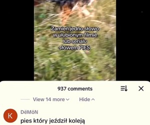 Taka to rozmowa