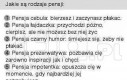 Rodzaje pensji