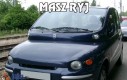 Masz ryj