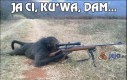 Ja ci, ku*wa, dam...