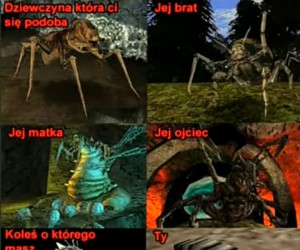 Nadaję się tylko na potrawkę :(