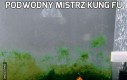 Podwodny mistrz kung fu