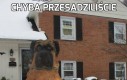 Chyba przesadziliście