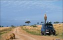 Wypatrywanie zwierząt na Safari
