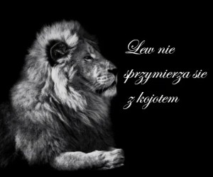 Realne