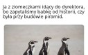 Ale za co?