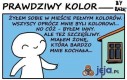 Prawdziwy kolor