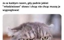 Jestem w Mechanicznej pomarańczy czy wylądowałem na planecie Grendviksaan?